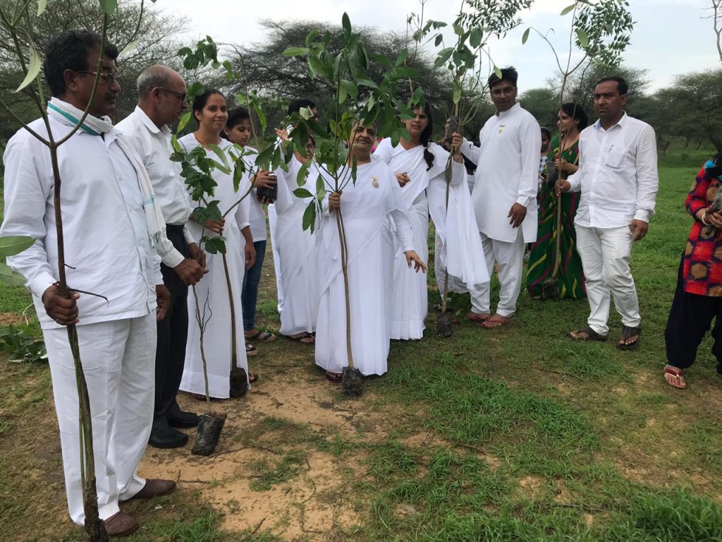 विश्व प्रकृति संरक्षण  दिवस पर सीकर ज़िले में 151 पोधे लगायें सीकर